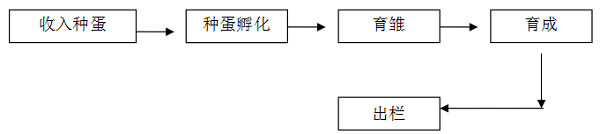 黔画乌鸡的技术养殖要求