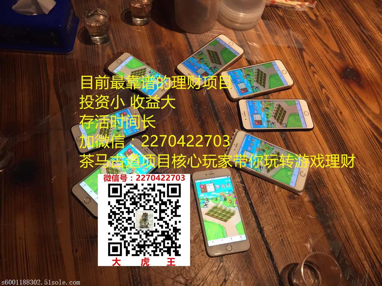 茶马古道手游,堪称第二个皮皮果,虎王系统诚邀您的加入