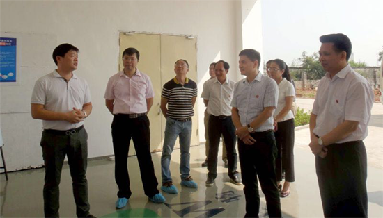 成功打造样板种植基地 许彬被评选为精准扶贫带头人