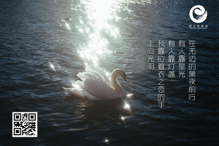 1504071170403358.png 2507.png