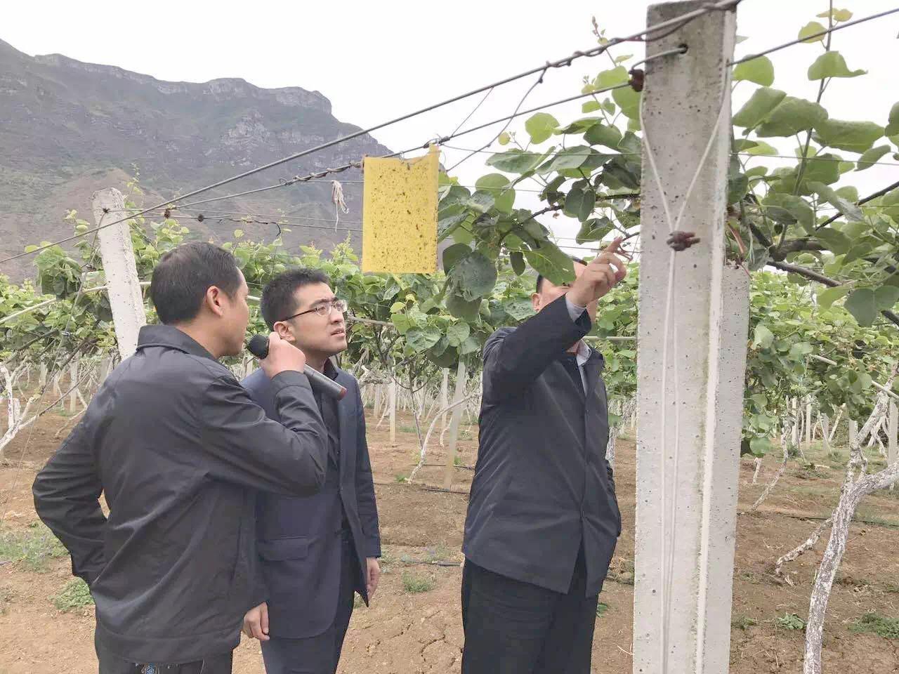点击查看原图