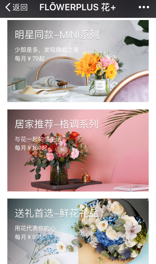 从国贸地铁到姜茶茶到曾舜晞 Flowerplus刷足存在感