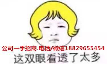 千城万店怎么样？和贯军E购一样模式？