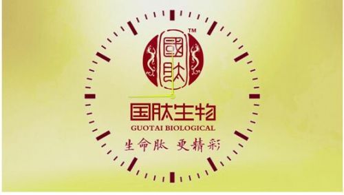 国肽张恒：践行女排精神 打造冠军品质