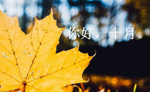 9月网贷理财排行，极光金融、悟空理财、ppmoney备受喜爱