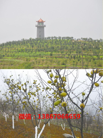 图片16.png