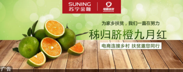 苏宁众筹将秭归脐橙搬上互联网 用金融手段精准扶贫