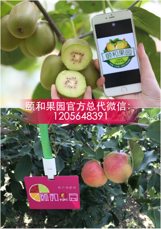 如何开启颐和果园的水果事业？加盟颐和果园的水果微商代理赚钱吗？