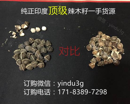 专家聊辣木籽的功效与作用，辣木籽多少钱一斤？【推荐】