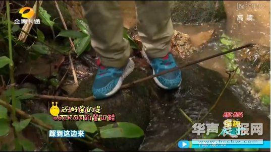 ABC KIDS《童趣大冒险》野外生存大挑战，新技能get起来！