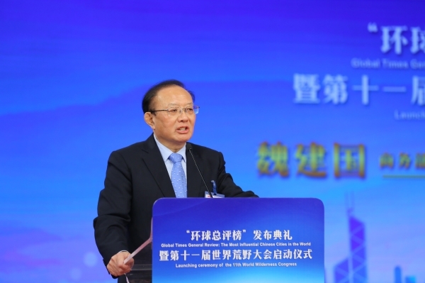 中国国际经济交流中心副理事长兼秘书长魏建国